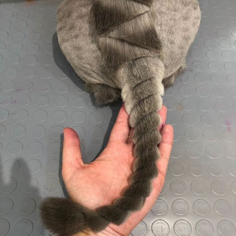 Loulou Pet Kuaförü Loulou Köpek &amp; Kedi Kuaförü Köpek Tıraşı