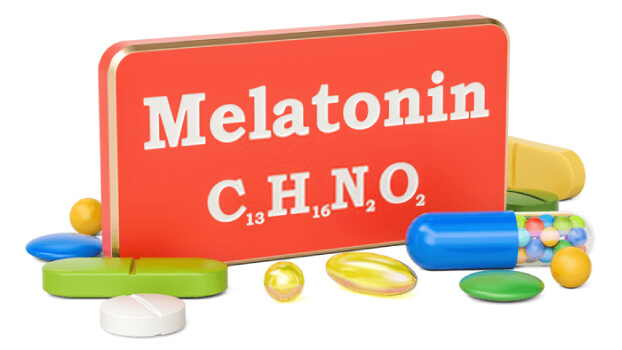 melatonin_alopesi-loulou_pet-2